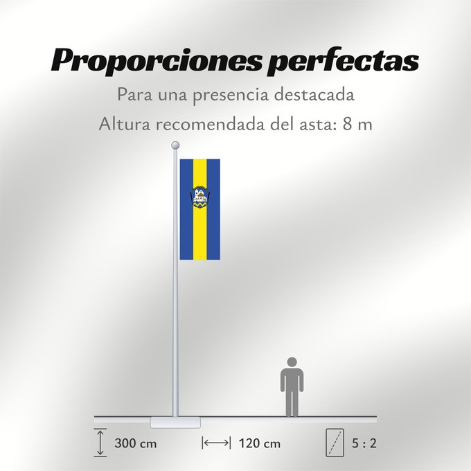Proporciones de la bandera: Erdweg (Münchener Umland)
