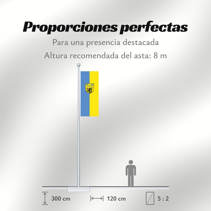 Proporciones de la bandera: Anzing (Ebersberger Grünes Land)