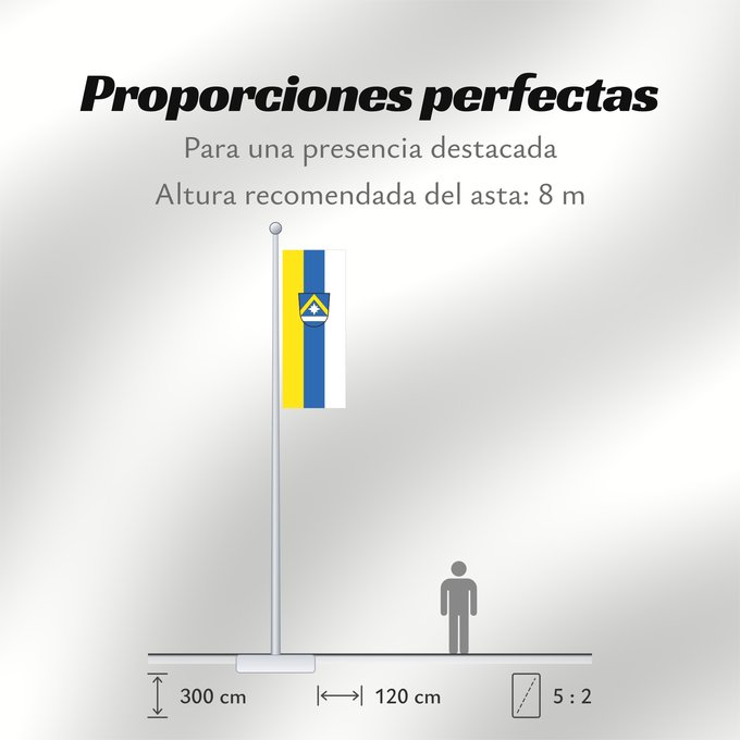 Proporciones de la bandera: Poing (Ebersberger Grünes Land)