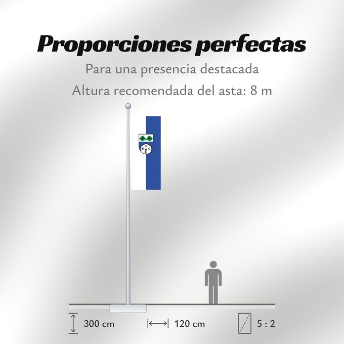 Proporciones de la bandera: Puchheim, St (Münchener Umland)