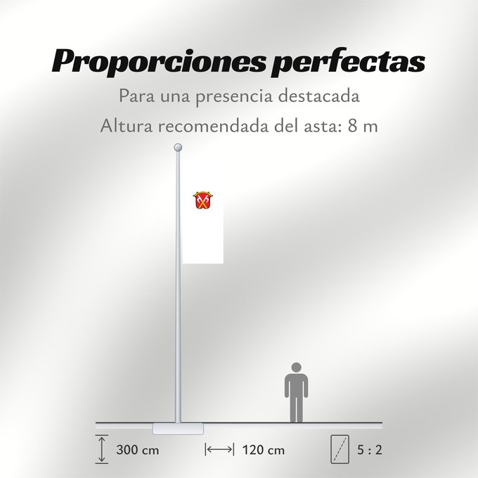 Proporciones de la bandera: Neubeuern, M (Chiemsee-Alpenland)