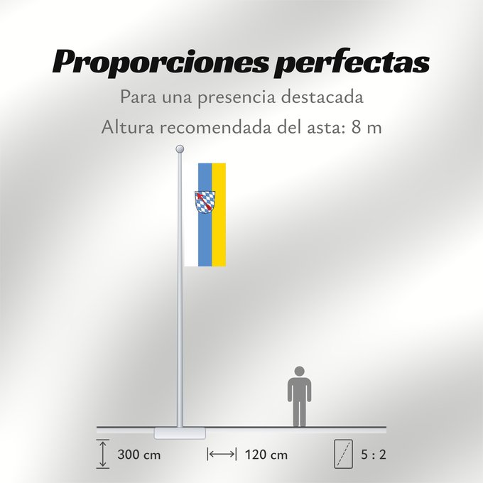 Proporciones de la bandera: Schönberg, M (Bayerischer Wald)