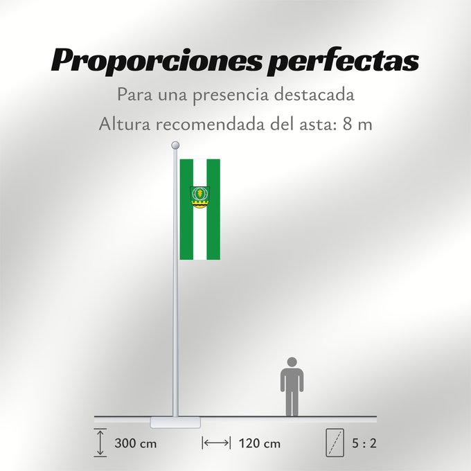Proporciones de la bandera: Schönau a.d.Brend (Rhön)