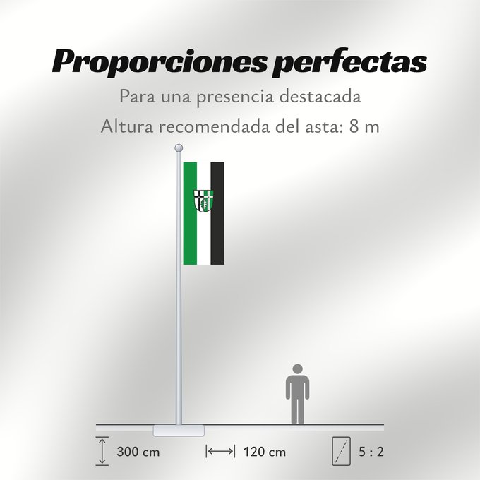 Proporciones de la bandera: Altenbuch (Spessart-Mainland)