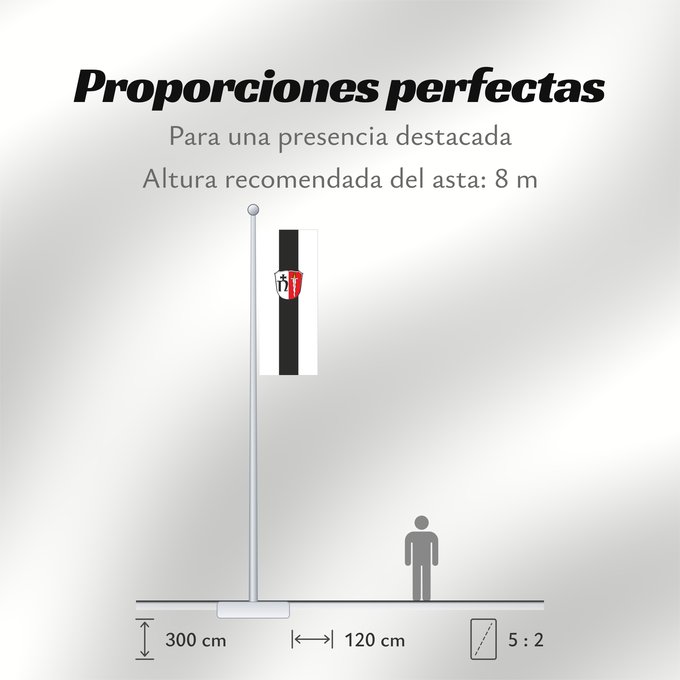 Proporciones de la bandera: Neustadt a.Main (Spessart-Mainland)