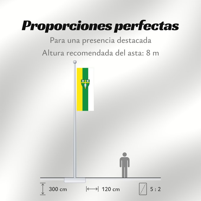 Proporciones de la bandera: Schollbrunn (Spessart-Mainland)