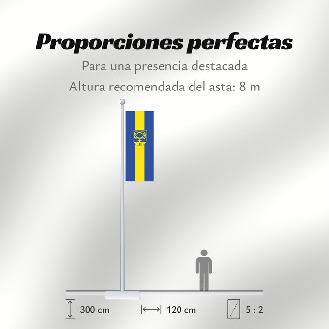 Proporciones de la bandera: Gundremmingen (Bayerisch-Schwaben)