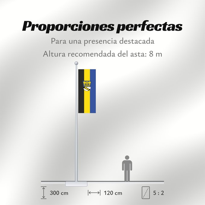 Proporciones de la bandera: Waltenhausen (Bayerisch-Schwaben)