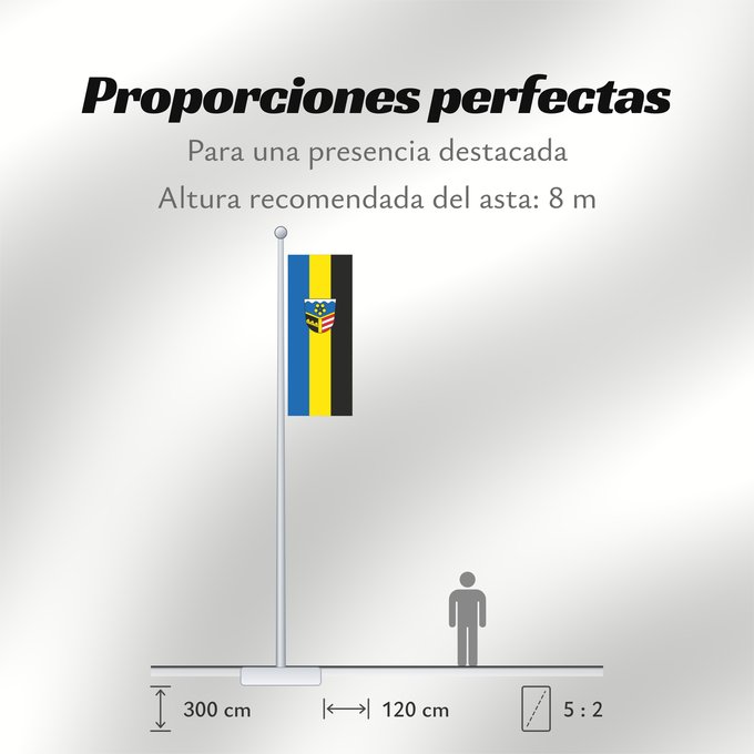 Proporciones de la bandera: Nersingen (Bayerisch-Schwaben)
