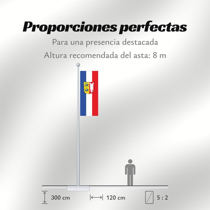 Proporciones de la bandera: Schleswig-Holstein