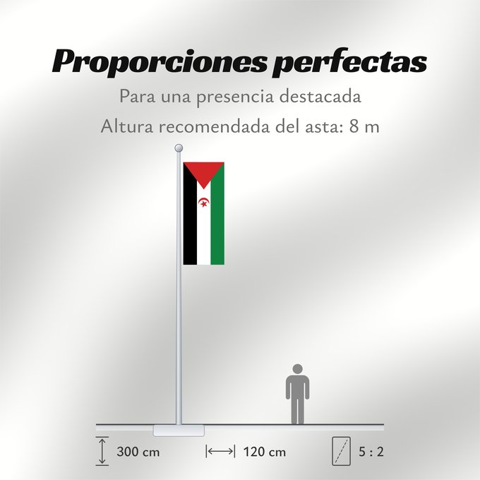 Proporciones de la bandera: Sahrawi Arab Democratic Republic	Western Sahara	République arabe sahraouie démocratique	República Árabe Saharaui Democrática	Demokratischen Arabischen Republik Sahara	Repubblica Democratica Araba Sahrawi	Arabische Democratische Republiek Sahara	República 