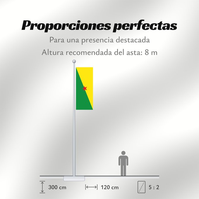Proporciones de la bandera: French Guiana	Guyane	Guayana Francesa	Französisch-Guayana	Guyana Francese