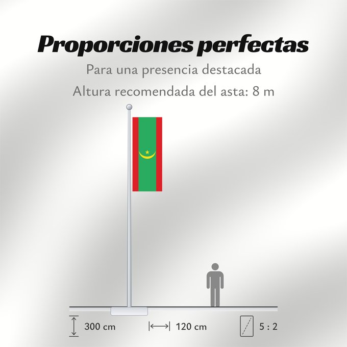 Proporciones de la bandera: Mauritania	Mauritanie	La Asamblea Nacional de Mauritania aprobó cambiar el diseño de la bandera nacional	Mauretanien	علم موريتانيا ، اعتمد في عام 2017. أضاف مجلس الأمة خطوطًا حمراء على الحافة العلوية والسفلية لتمثل  دماء شهداء الاستقلال