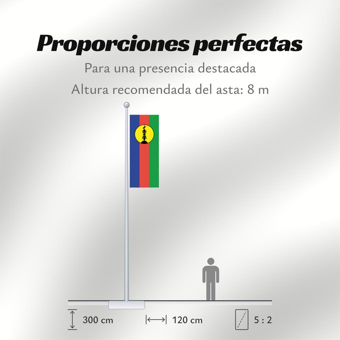 Proporciones de la bandera: FLNKS Kanak and Socialist National Liberation Front political party Front de libération nationale kanak et socialiste Colores Pantone http //www Neukaledonien Nuova Caledonia Front d Alliberament Nacional Canac Socialista