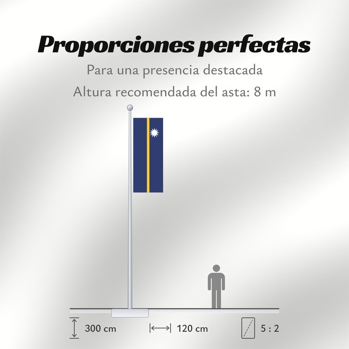 Proporciones de la bandera: Nauru The national flag of Nauru La bandera nacional de Nauru Nazionale di Nauru A bandeira nacional de Nauru Σημαία του Ναουρού La nacia flago de Nauro Nauru lipp Naurun דגל נאורו Знаме на Науру Anidenin Naoero Флаг Науру Nauru leavga Nauruja Naurus Naur
