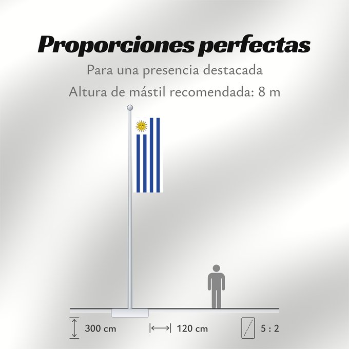 Proporciones de la bandera: Uruguay	L Uruguay	Dell Uruguay	Uruguai	Urugwaju	D Uruguai	علم أوروغواي	D Uruguay	Uruwayi wiphala	L Uruguai	Urugvajo	Uruguaiko bandera	E Uruguai	Poyvi Uruguái	Irigwe	ウルグアイの国旗	Pāmitl Uruguay	Uruwayi unanchan	Флаг Уругвая	Urugvaja	Uruguays