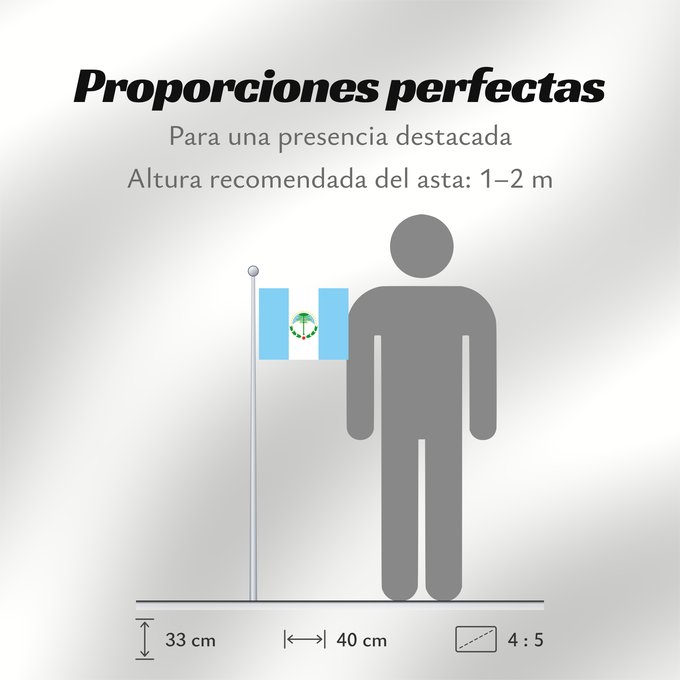 Proporciones de la bandera: Neuquén