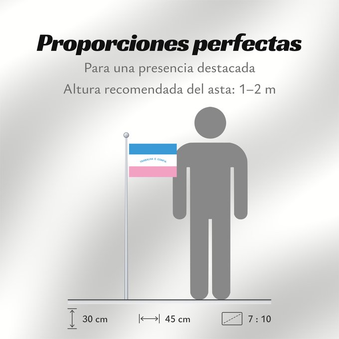 Proporciones de la bandera: Espírito Santo