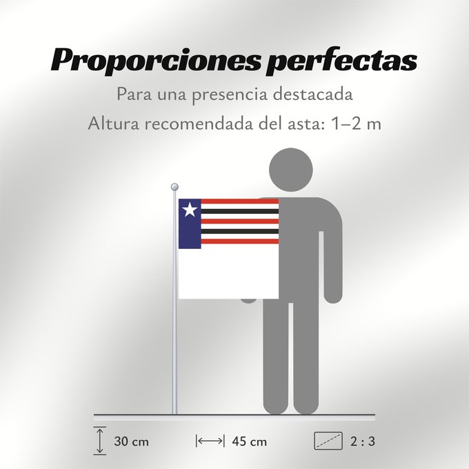 Proporciones de la bandera: Maranhão