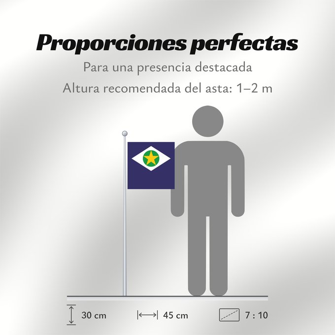 Proporciones de la bandera: Mato Grosso	State of Mato Grosso, Brazil	Mato Grueso	Mato Grosso, Brasil