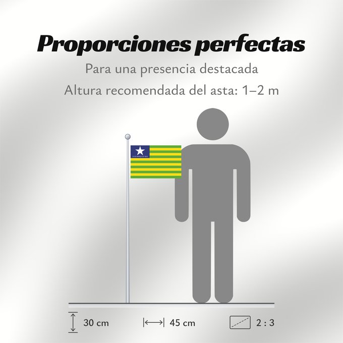 Proporciones de la bandera: Piauí