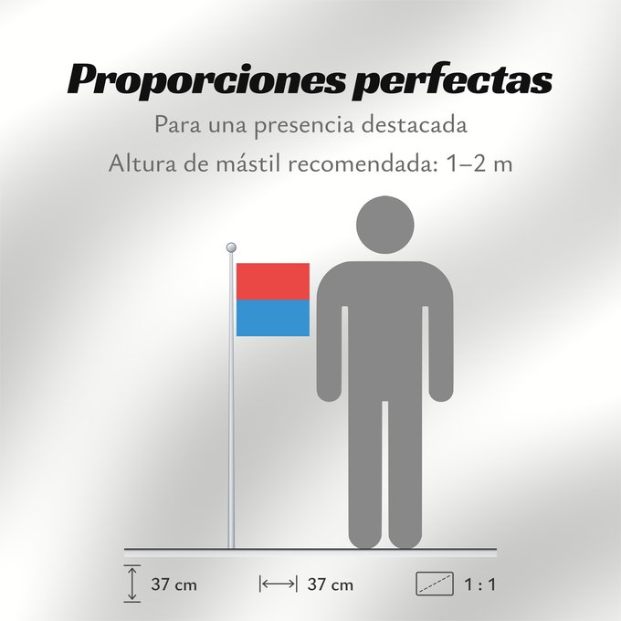 Proporciones de la bandera: Canton of Tessin	Canton Ticino or Ticino	canton du Tessin	Cantón del Tesino	Ticino	Canton of Tessin  Switzerland