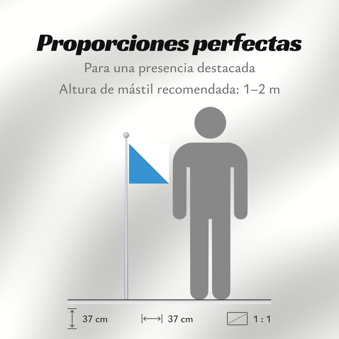 Proporciones de la bandera: Zürich (de)