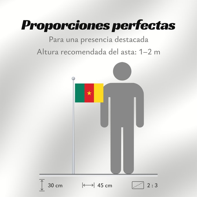 Proporciones de la bandera: Cameroon Cameroun Camerún Kamerun Camerun ক্যামেরুনের পতাকা। Kamerunu Kameruno پرچم کامرون Fändel vum Kamerun Знаме на Камерун Camerunului Kameruna Kameruns
