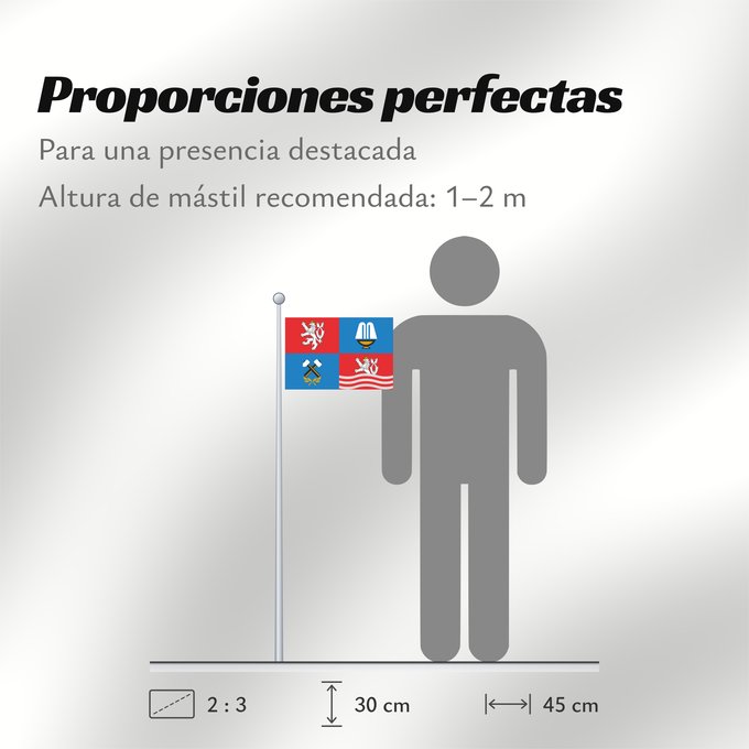 Proporciones de la bandera: Karlovy Vary Region	Région de Karlovy Vary	Región de Karlovy Vary	Region Karlovy Vary	Regione di Karlovy Vary
