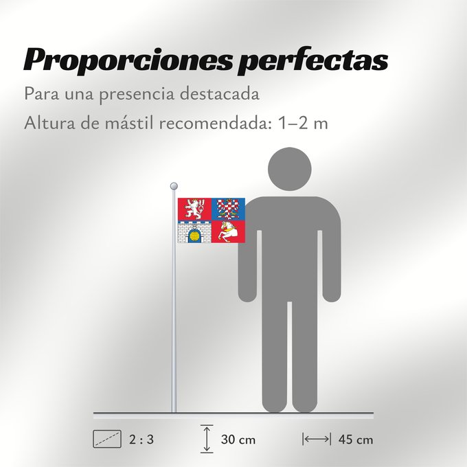 Proporciones de la bandera: Pardubice Region	Région de Pardubice	Región de Pardubice	Region Pardubice	Pardubice Regione