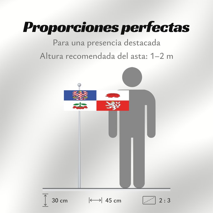 Proporciones de la bandera: Vysocina Region	Vysočina Region	Région de Vysočina	Región de Vysočina	Region Vysočina