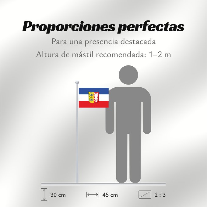 Proporciones de la bandera: Schleswig-Holstein