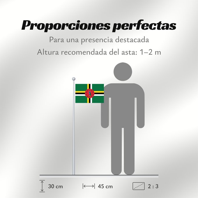 Proporciones de la bandera: Dominica	 Dominique	Dominica lipp	Dominican	ドミニカ国の国旗	Флаг Доминики	Dominike	Dominicas