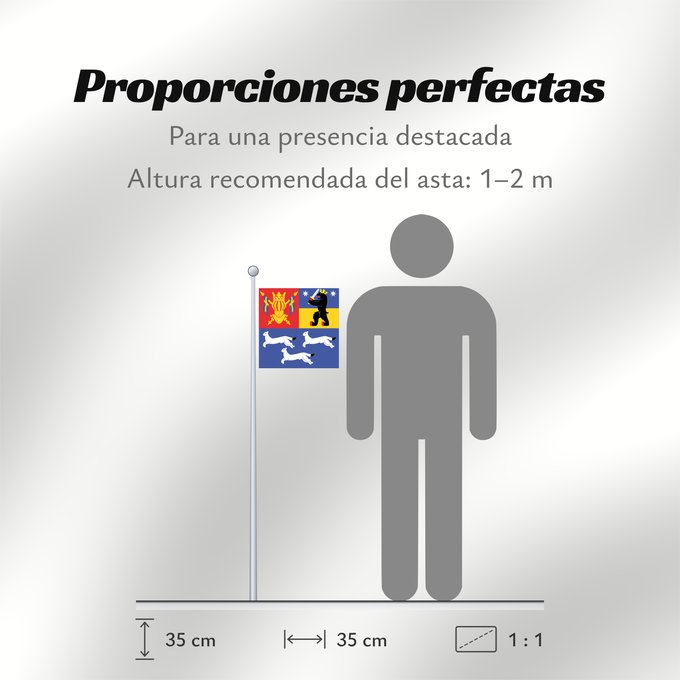 Proporciones de la bandera: Länsi-Suomen lääni