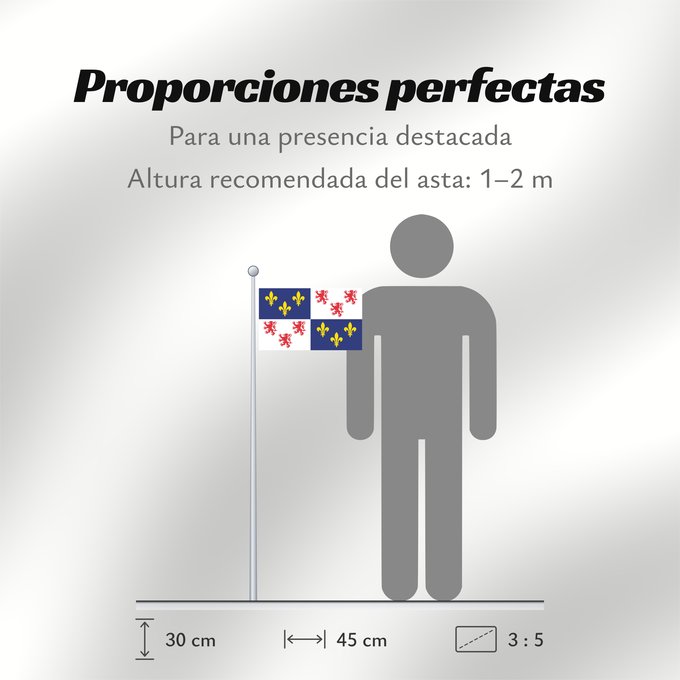 Proporciones de la bandera: Picardie	Region Picardie in France	Région Picardie en France	Picardo	Picard