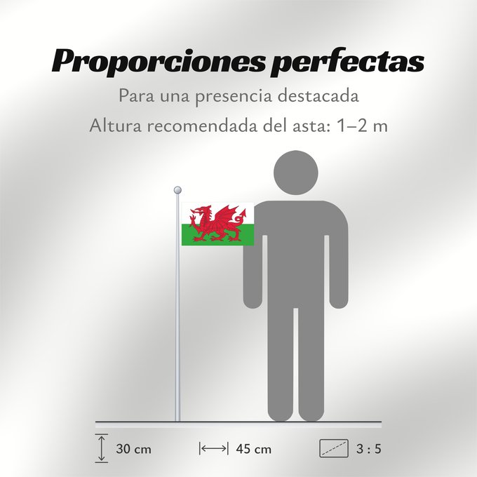 Proporciones de la bandera: Wales 2	Wales	Pays de Galles	Gales	Wale	Galles	Walii	Wīelisc Fana	علم ويلز	Banniel Kembre	Cymru	Galesko bandera	Walesin	Breataine Bige	Brattag Vretin	Walesa	Kembra	Valliae	Знаме на Велс	Couleu de Galles	Флаг Уэльса	Прапор Уельсу