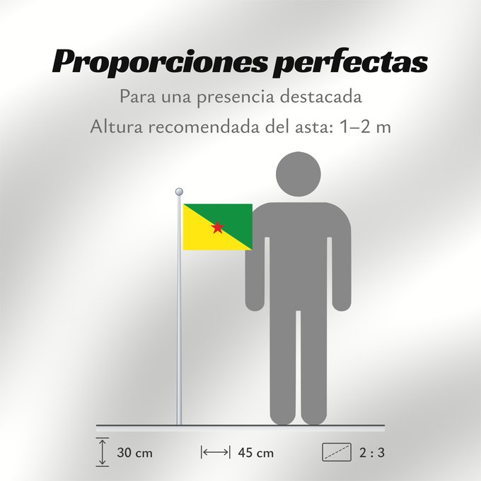 Proporciones de la bandera: French Guiana	Guyane	Guayana Francesa	Französisch-Guayana	Guyana Francese