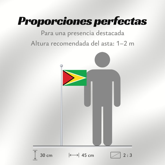 Proporciones de la bandera: Guyana Guiana Wayana wiphala Gujano Gwayana Wayana unancha Флаг Гайаны Guyanas Quốc kỳ Guyana
