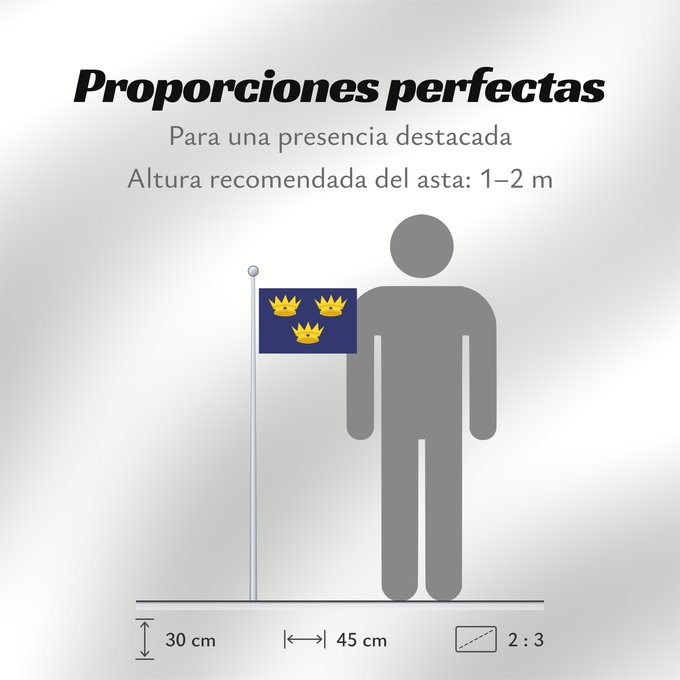 Proporciones de la bandera: Munster