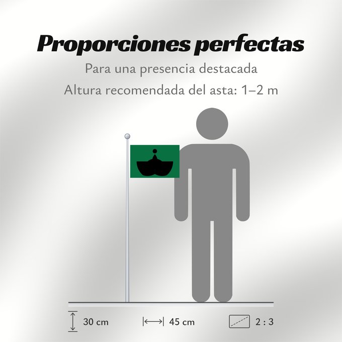 Proporciones de la bandera:  Tiba [Chiba]