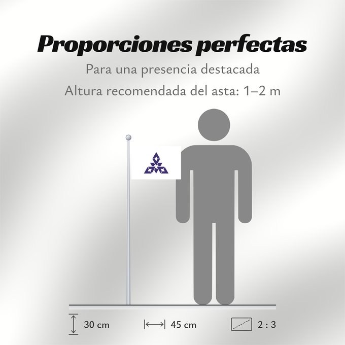 Proporciones de la bandera: Fukuoka City	W3C-validity not checked	Fukuoka, Fukuoka	Fukuoka	福岡市旗