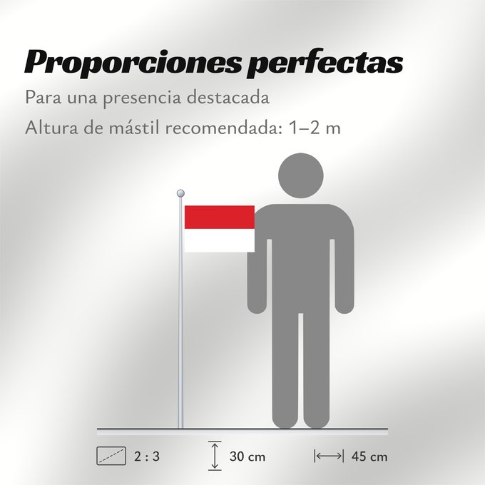 Proporciones de la bandera: Monaco	Mónaco	Monako	Сцяг Манака	Monacos	پرچم موناکو	Bandêa de Mu̍negu	Monaka	Прапор Монако