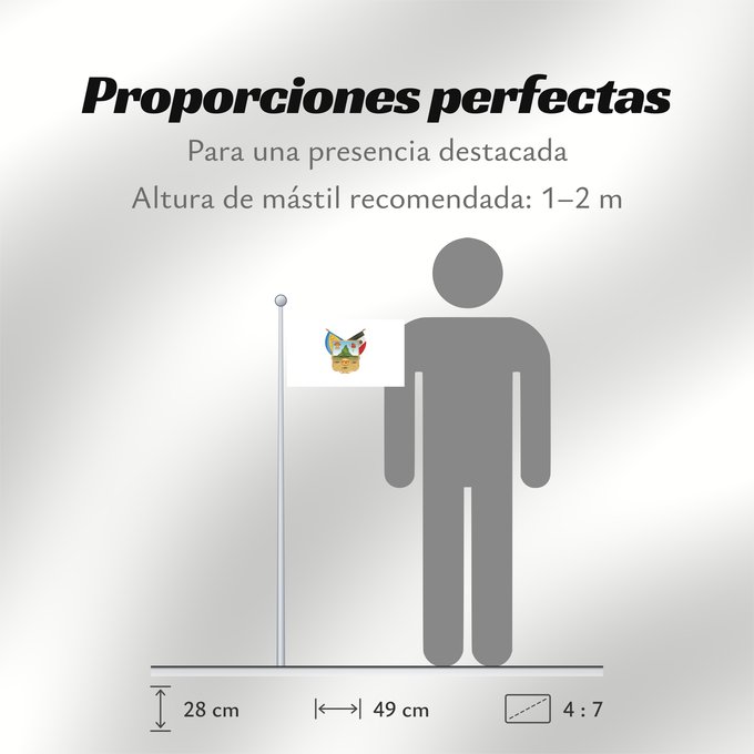 Proporciones de la bandera: Hidalgo	hidalgo y fidalgo