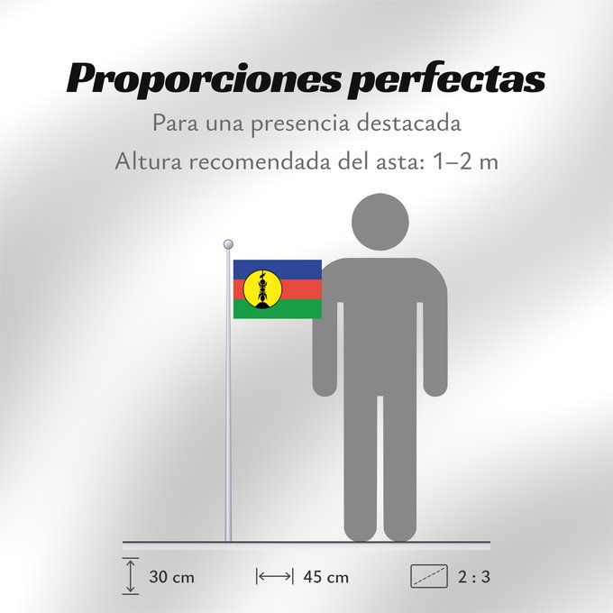 Proporciones de la bandera: FLNKS	Kanak and Socialist National Liberation Front political party	Front de libération nationale kanak et socialiste	Colores Pantone http //www	Neukaledonien	Nuova Caledonia	Front d Alliberament Nacional Canac Socialista