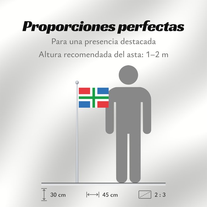 Proporciones de la bandera: Groningen Province of Groningen, Netherlands Groningue Groninga