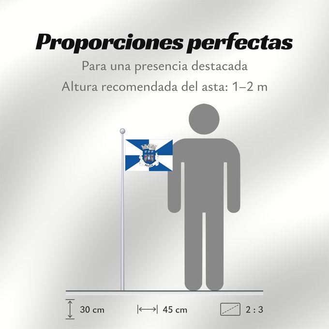 Proporciones de la bandera: Braga