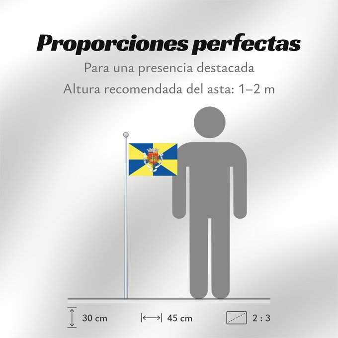 Proporciones de la bandera: Bragança