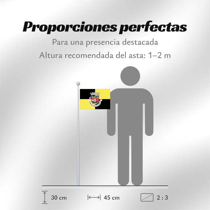 Proporciones de la bandera: Viana do Castelo