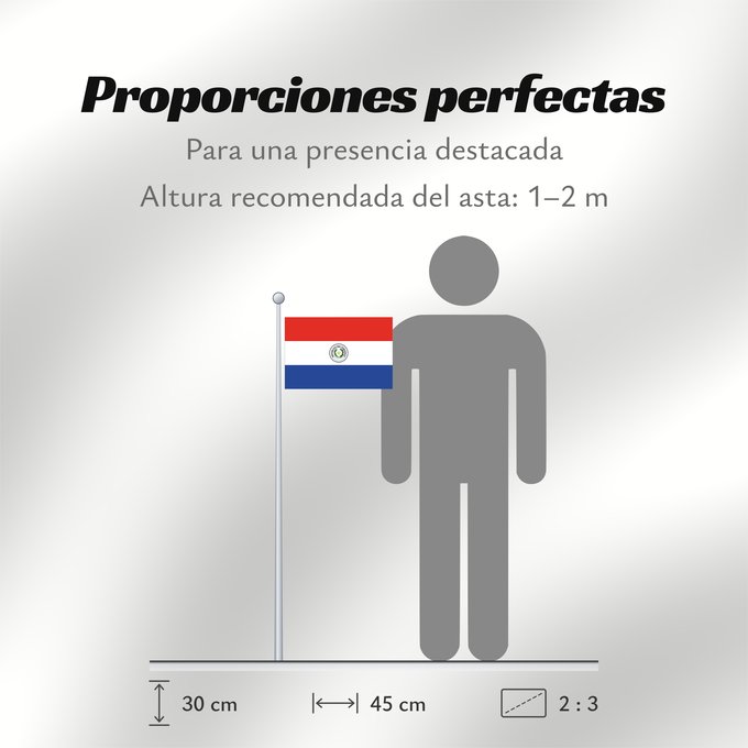 Proporciones de la bandera: Paraguay	Paraguay  obverse	علم باراغواي	پرچم پاراگوئه  روی پرچم	Флаг Парагвая