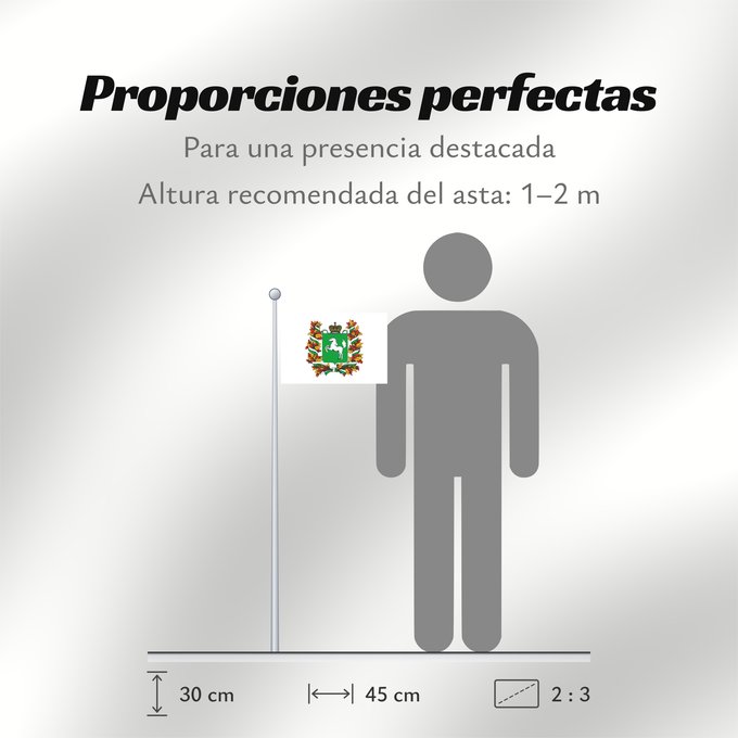 Proporciones de la bandera: Tomskaya oblast'